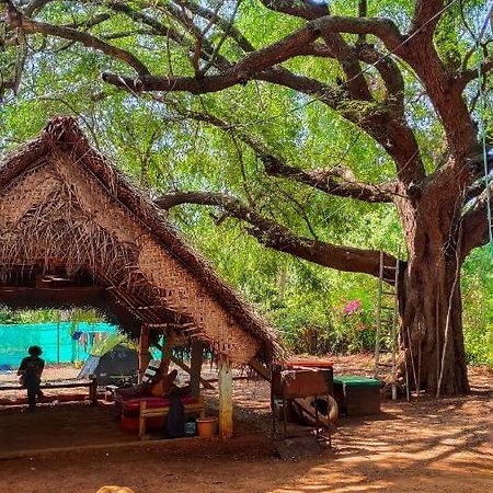 Travellers Tribe By Livelehood Habitat Hostel Auroville Exterior photo