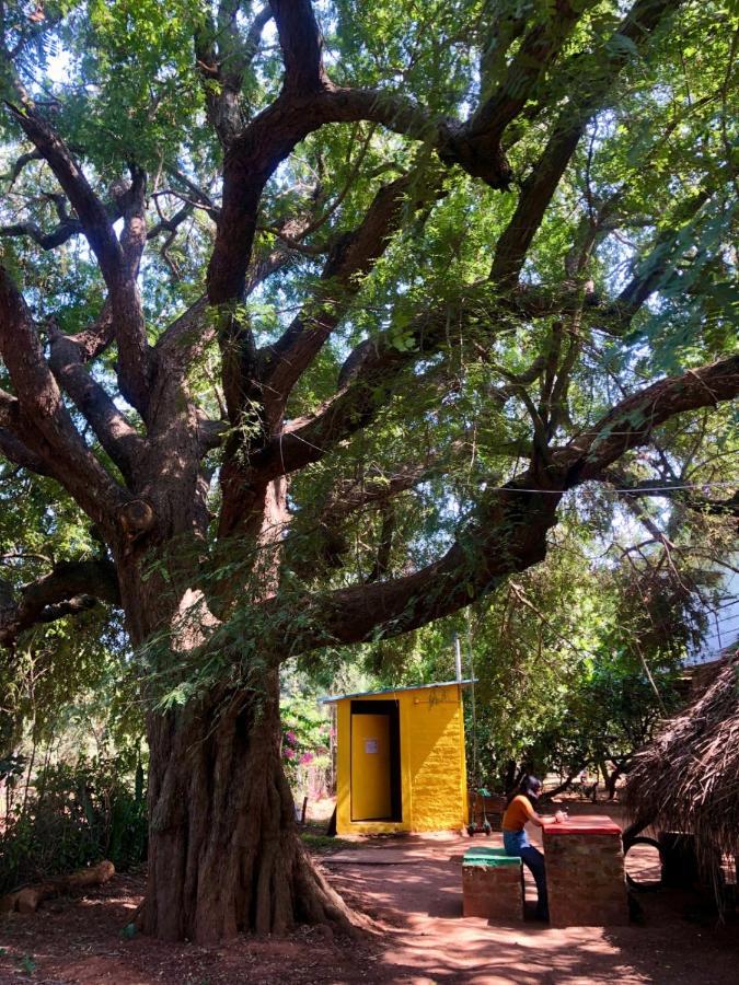 Travellers Tribe By Livelehood Habitat Hostel Auroville Exterior photo